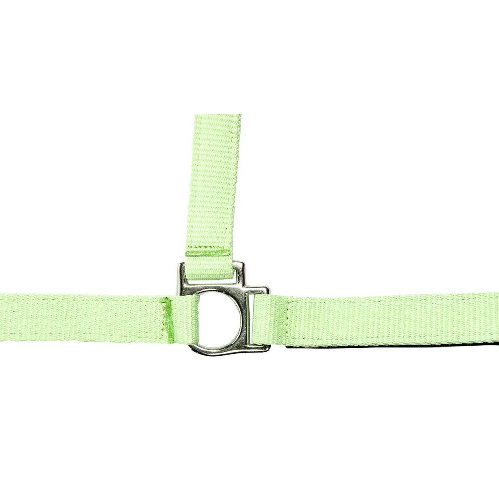 HKM Head collar -Stars Softice- with soft padding