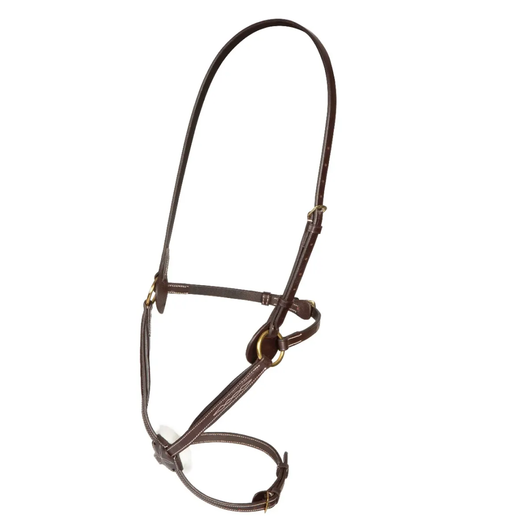Shires Salisbury Brackley Mexican Grackle Noseband
