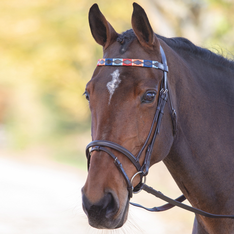 #colour_turquoise-red-orange-blue