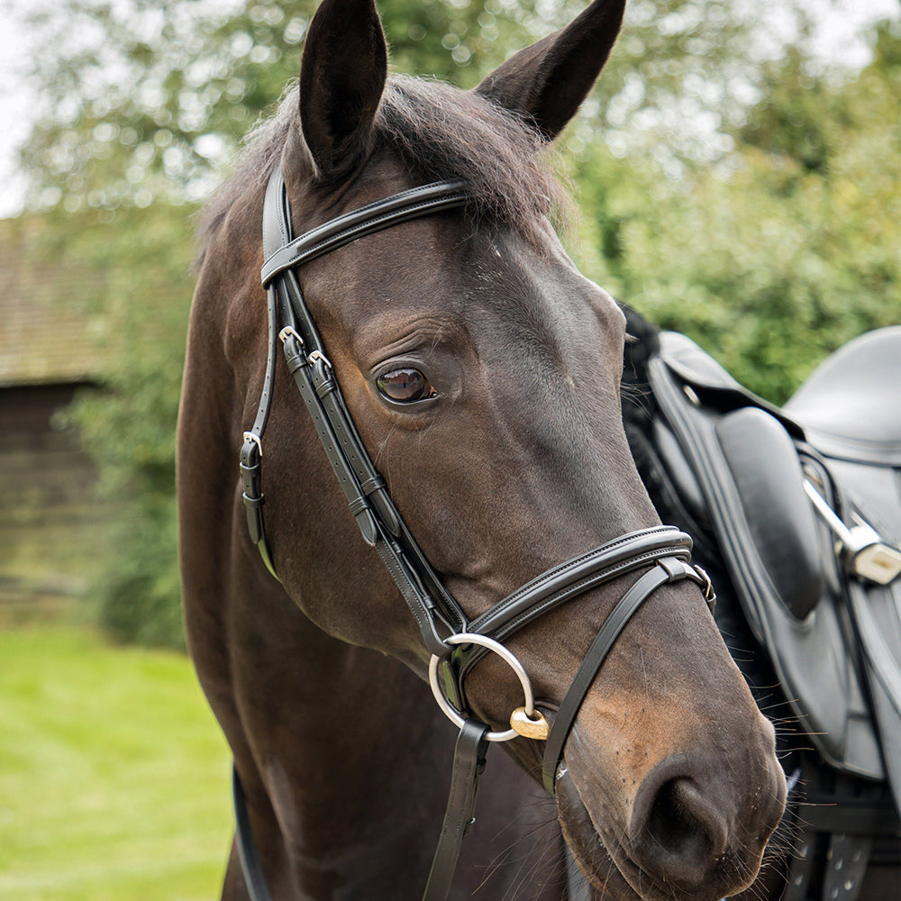KM Elite Competition Bridle #colour_black
