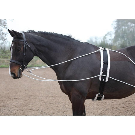 Shires Lunging Aid
