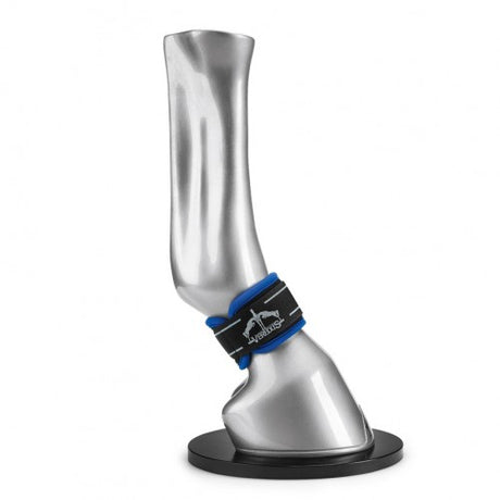 Veredus Magnetik Pro Fesselwickel