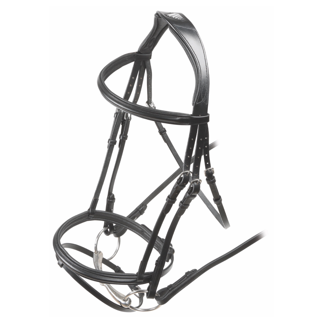 Shires Velociti RAPIDA Padded Raised Flash Bridle #colour_black