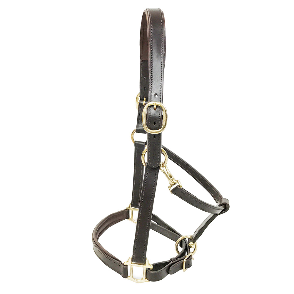 KM Elite Primera Padded Leather Headcollar #colour_havana