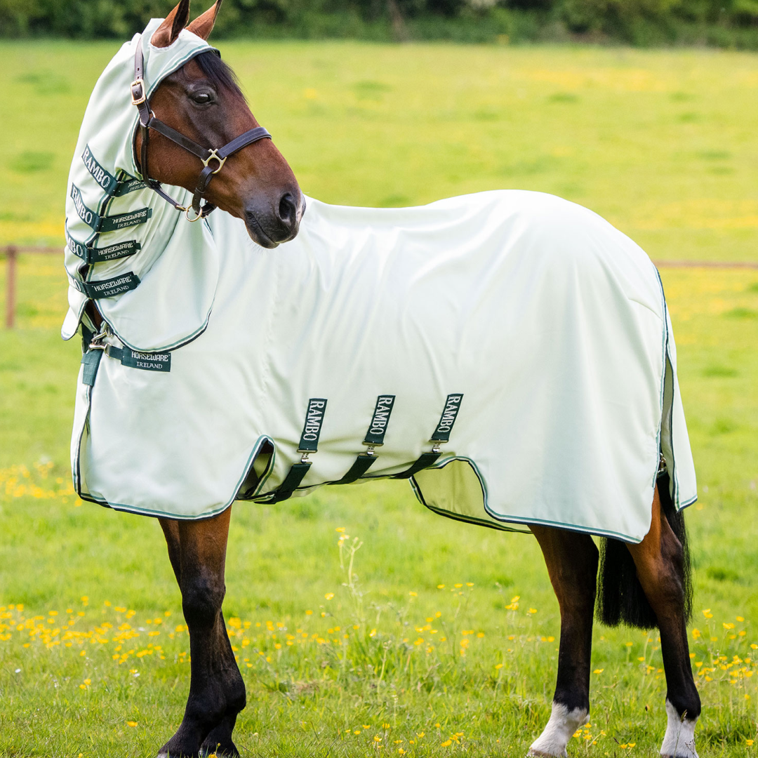 Horseware Ireland Rambo Hoody #colour_green-sage-beige