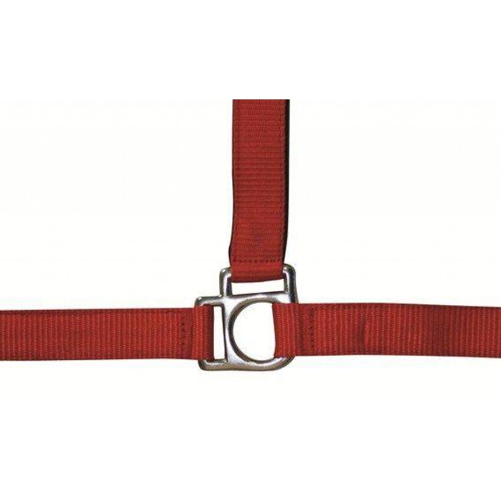 HKM Head Collar -Stars- with Soft Padding #colour_red