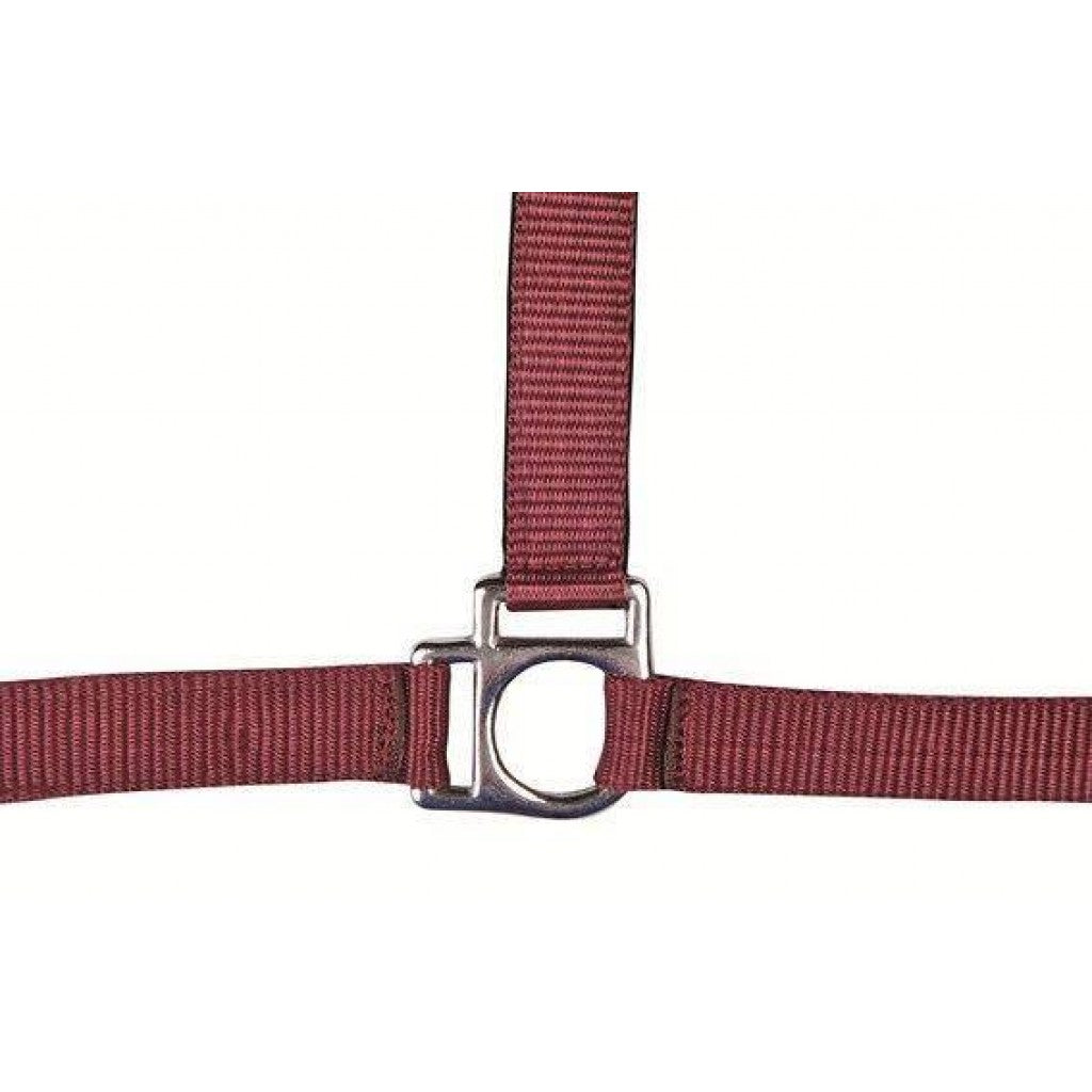 HKM Head Collar -Stars- with Soft Padding #colour_dark-red