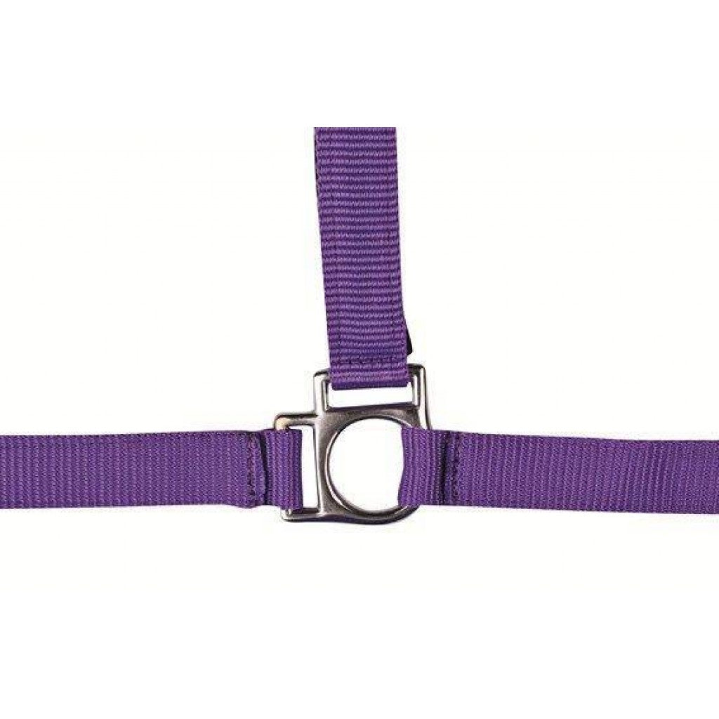 HKM Head Collar -Stars- with Soft Padding #colour_lilac