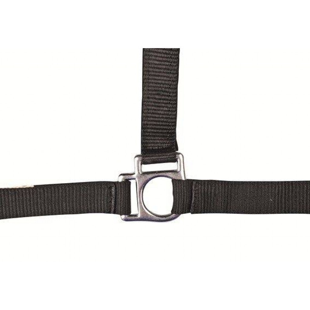 HKM Head Collar -Stars- with Soft Padding #colour_black
