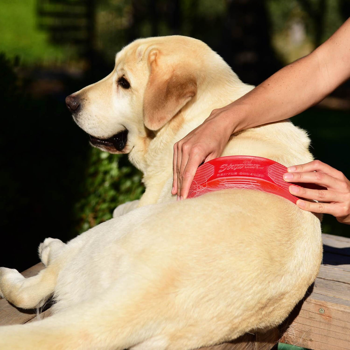 Tondeuse douce StripHair