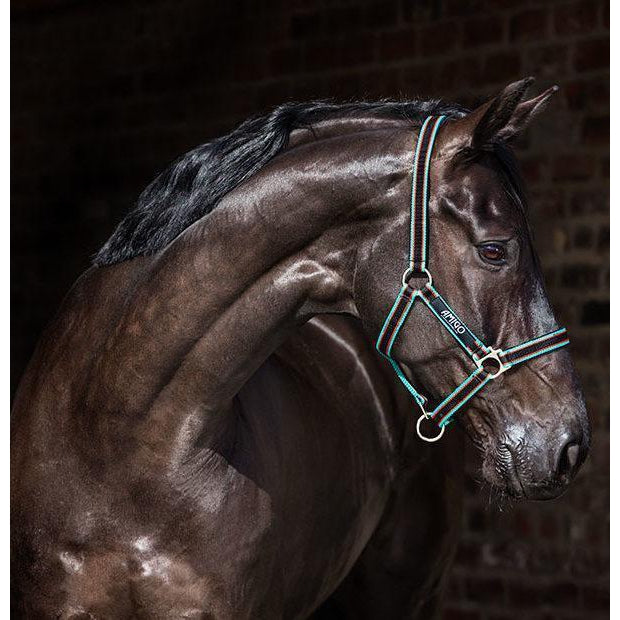 Licol Horseware Ireland Amigo