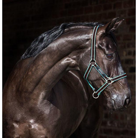 Licol Horseware Ireland Amigo