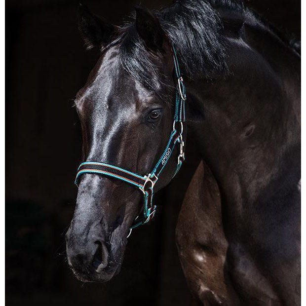 Licol Horseware Ireland Amigo