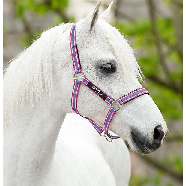 Licol Horseware Ireland Amigo