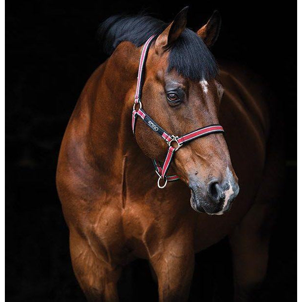Licol Horseware Ireland Amigo