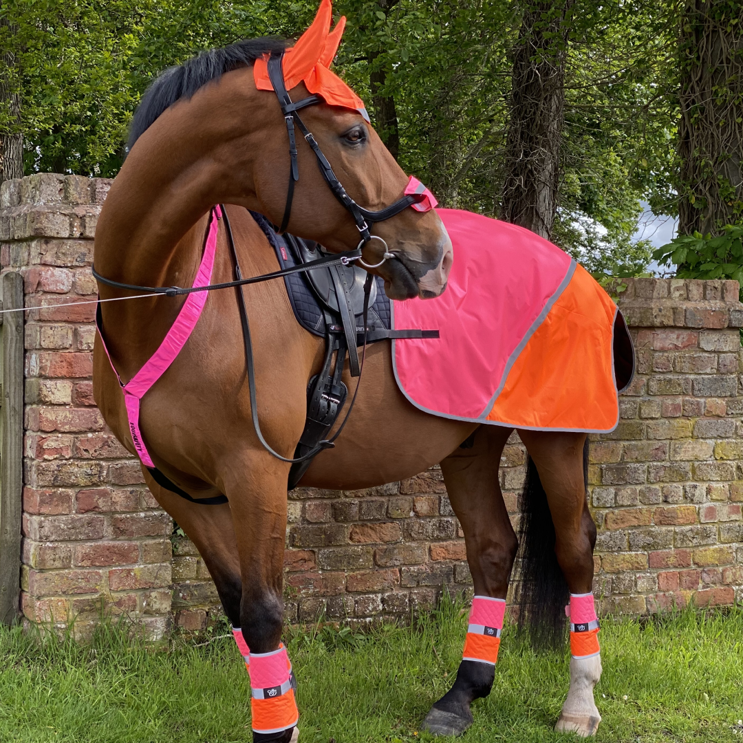 Equisafety Hi-Vis Waterproof Quarter Sheet #colour_pink-orange