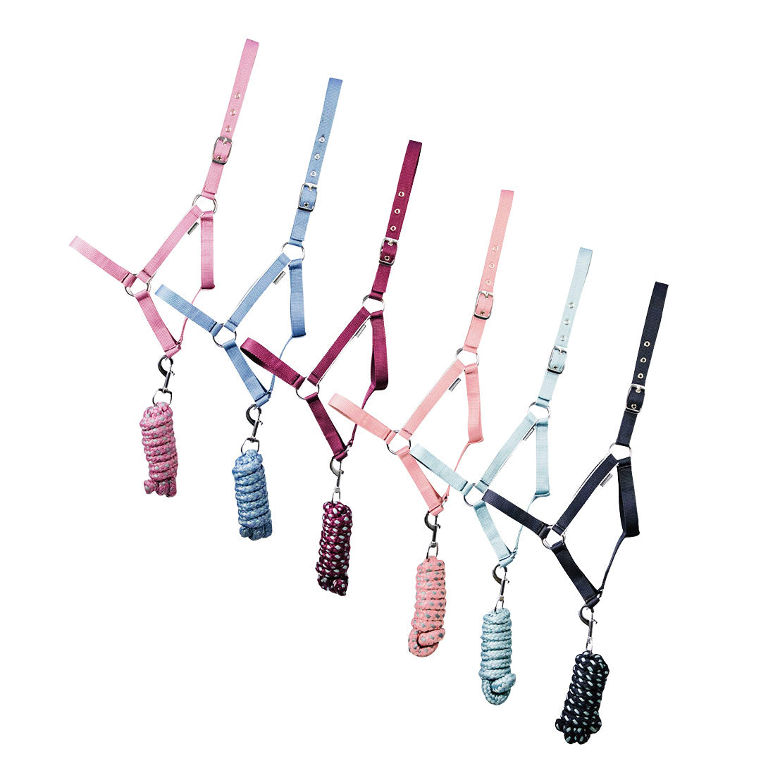 Ensemble licol et longe Hy Equestrian Synergy