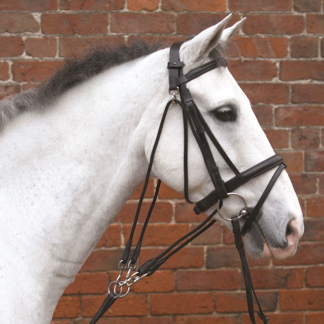 Hy De Gouge - Noir - Cob/Full