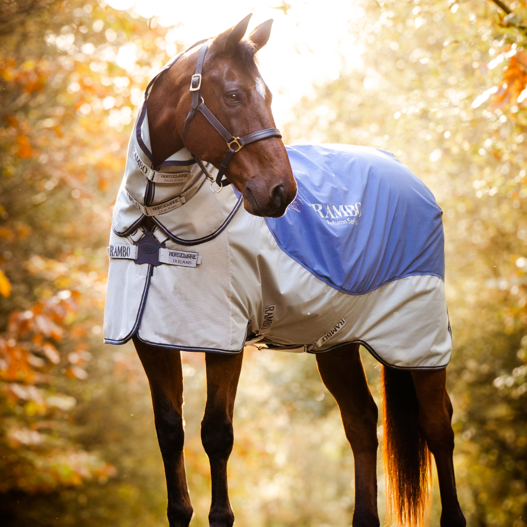 Horseware Ireland Rambo Autumn Series