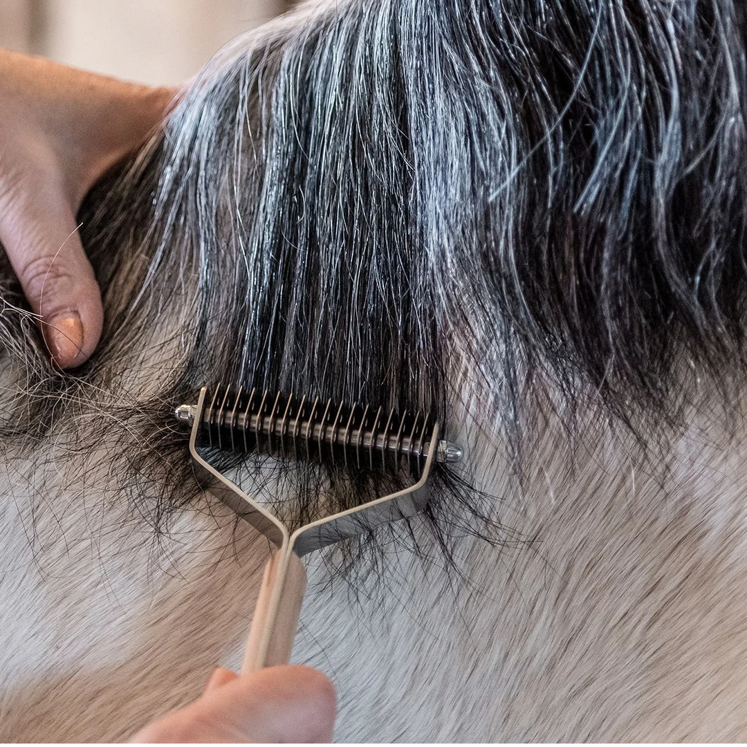 Smart Grooming Smart Manes