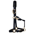 KM Elite Padded Headcollar #colour_black