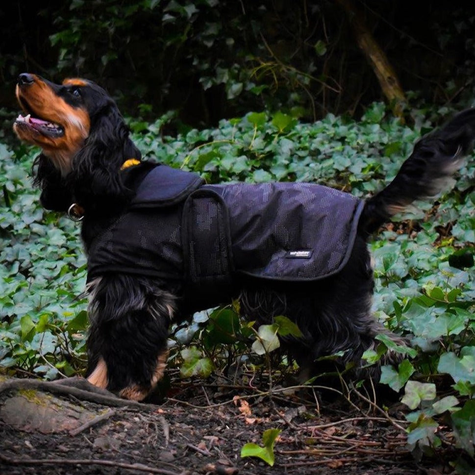 Whitaker Sydney Dog Coat