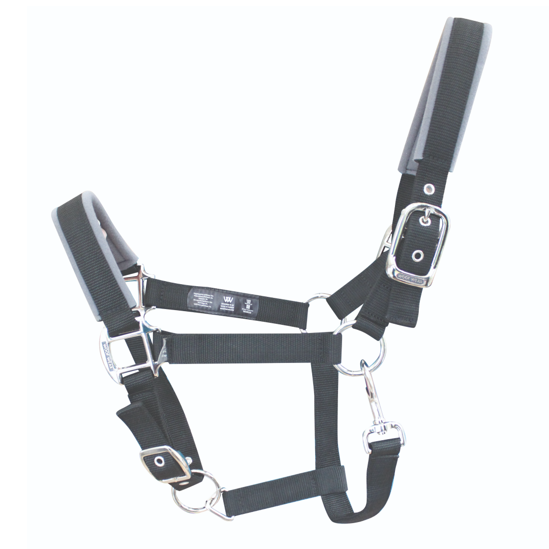 Woof Wear Colour Fusion Contour Headcollar #colour_black