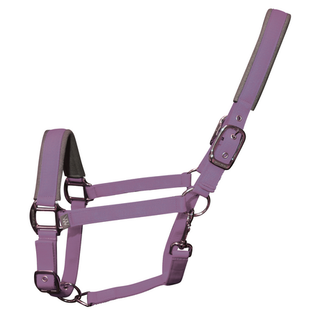 Woof Wear Colour Fusion Contour Headcollar #colour_lilac