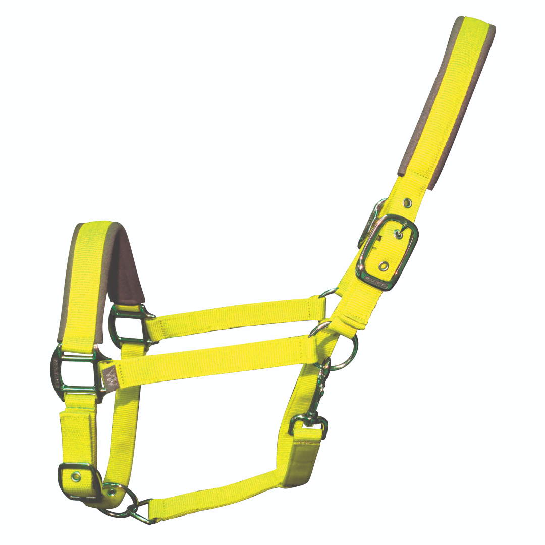 Woof Wear Colour Fusion Contour Headcollar #colour_sunshine-yellow