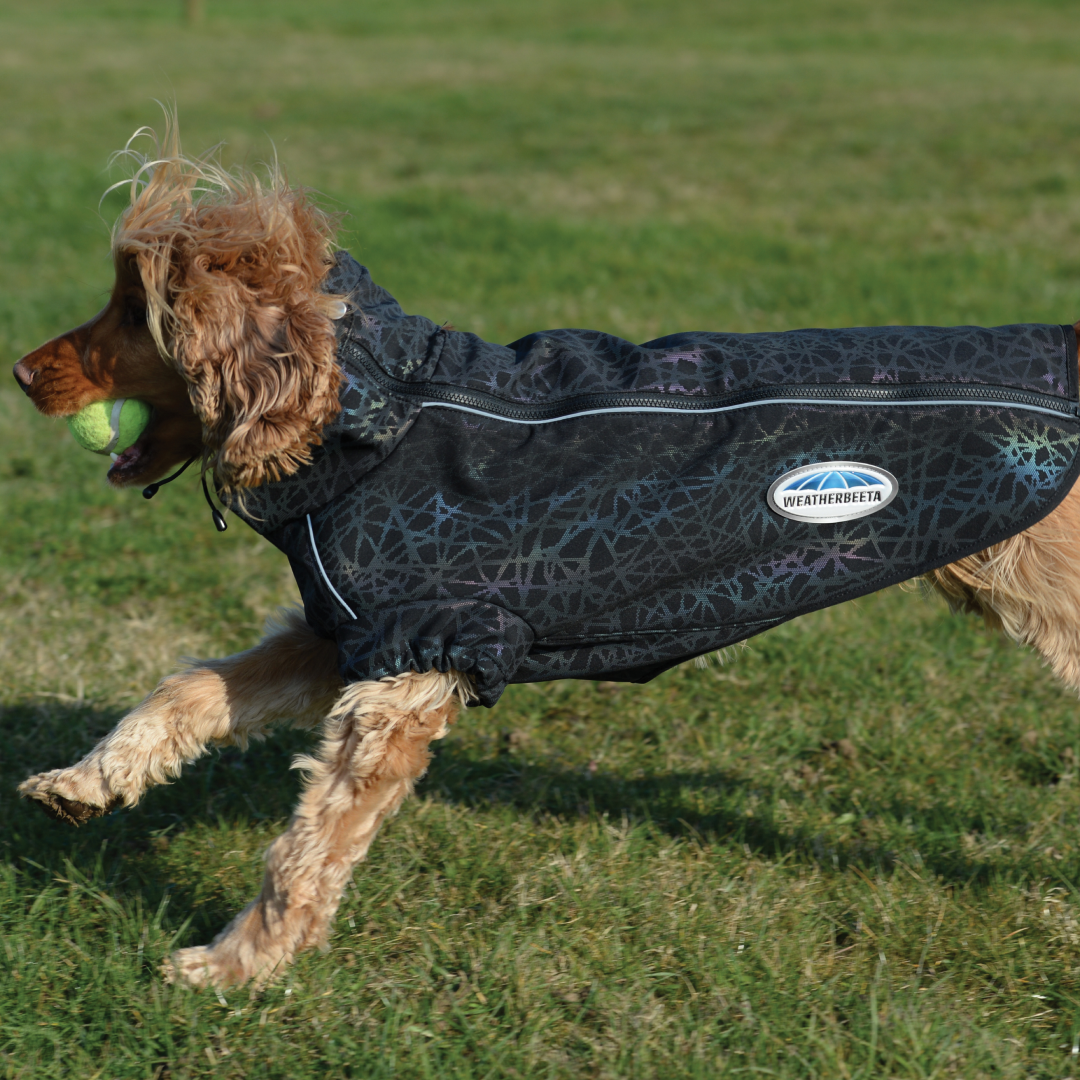 Weatherbeeta Comfitec Reflective Print Active Dog Coat #colour_black-reflective-rainbow