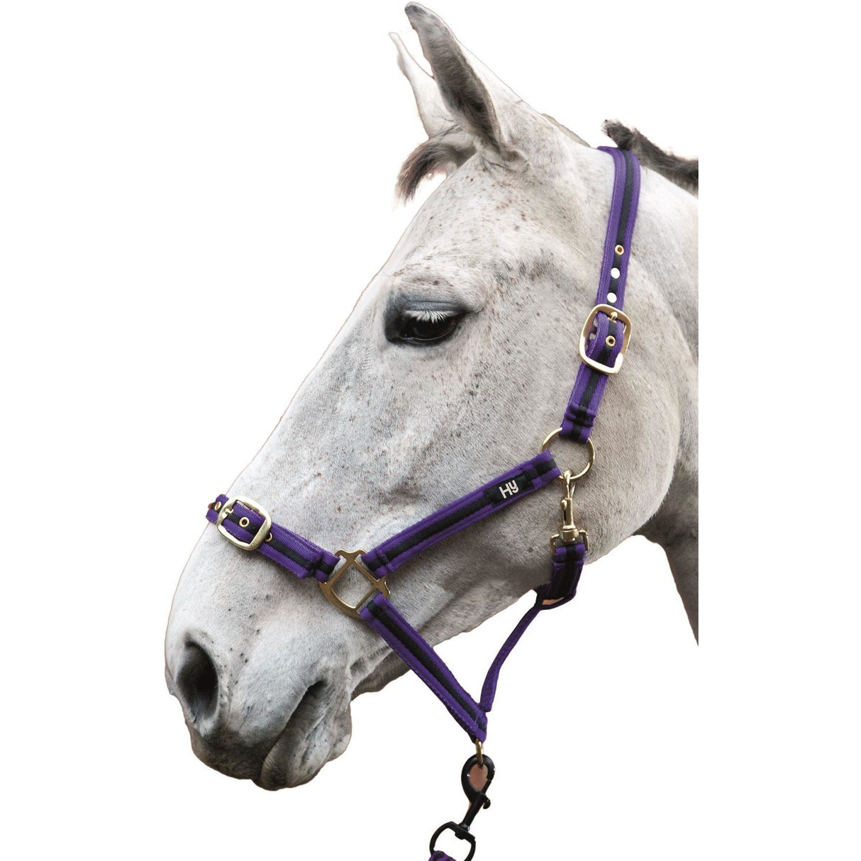 Hy Soft Webbing Head Collar