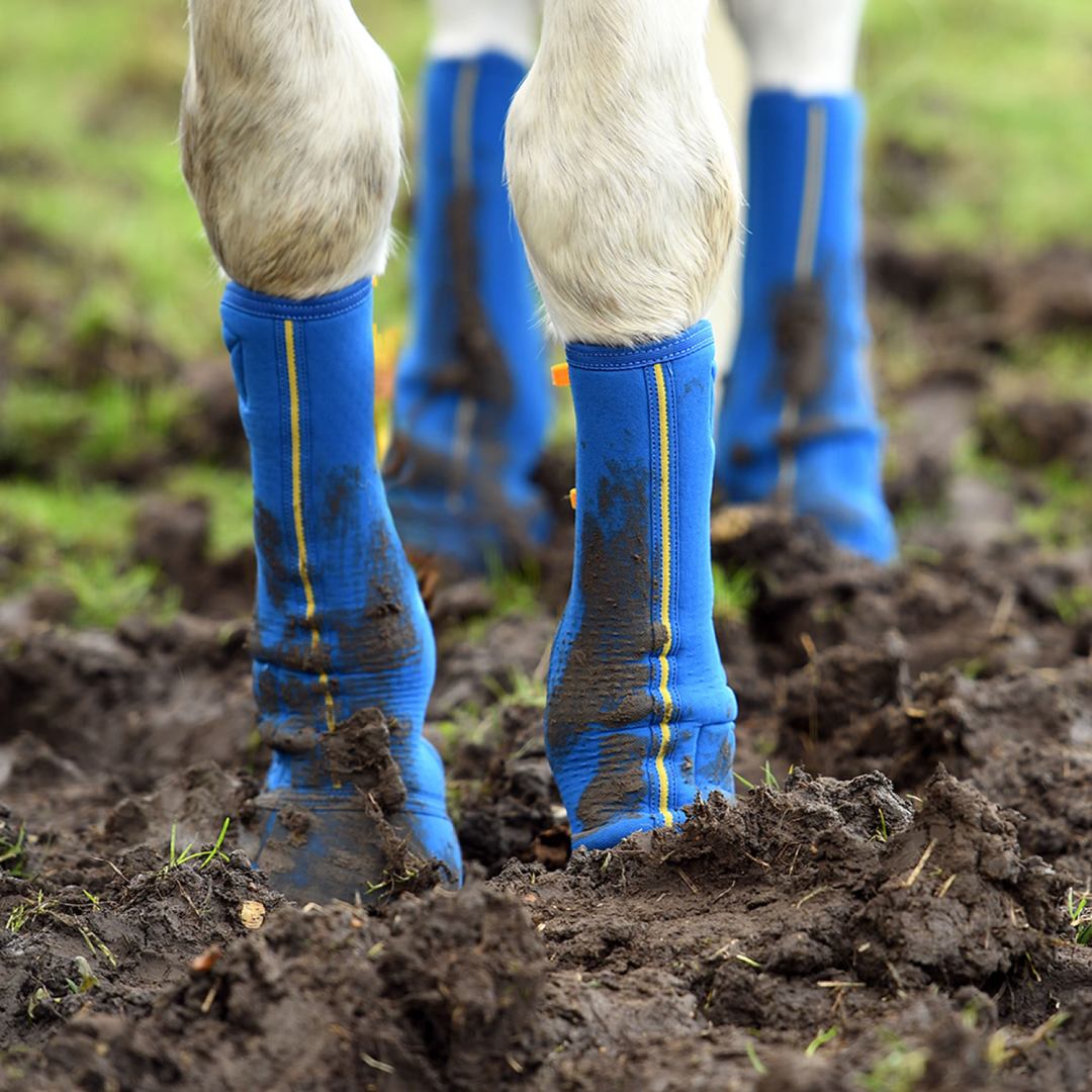 Equilibrium Equi-Chaps Close Contact Chaps #colour_navy