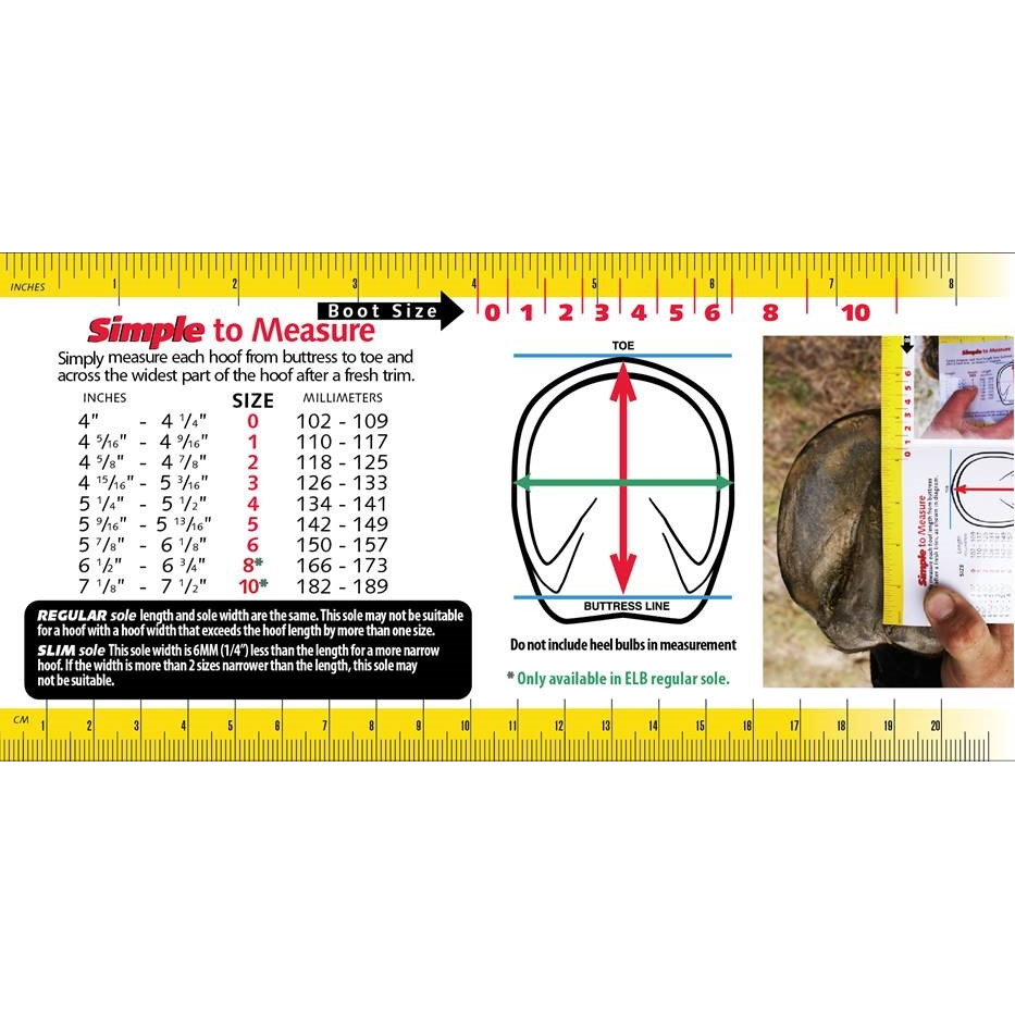 Cavallo Sport Boot Slim avec cure-sabot et brosse FOC