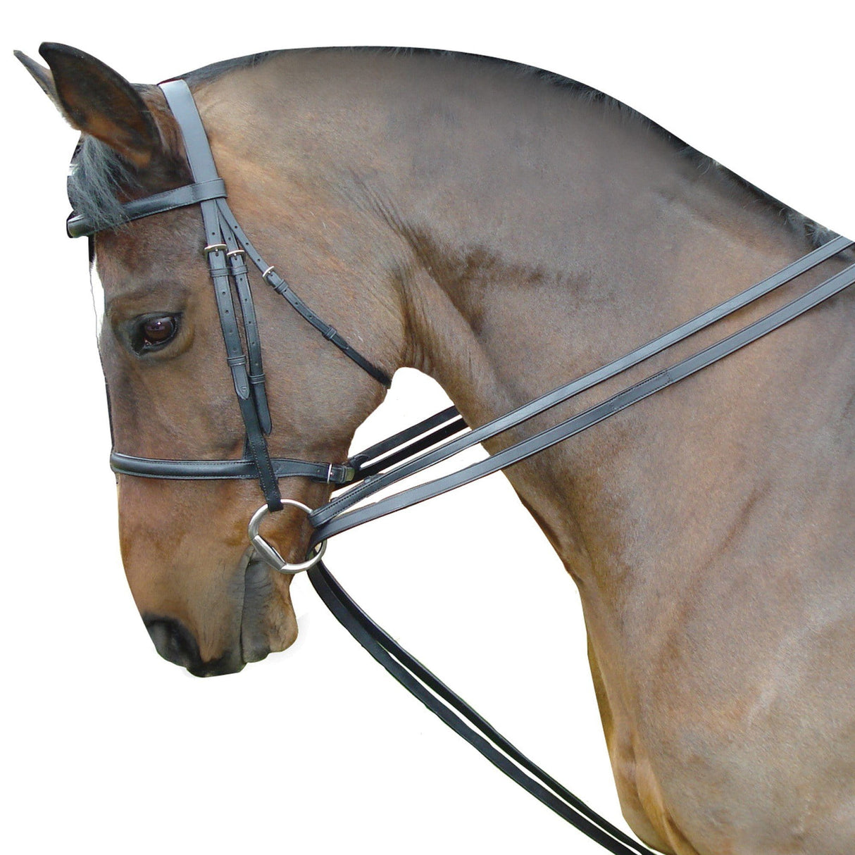 Kincade Leather Draw Reins Set