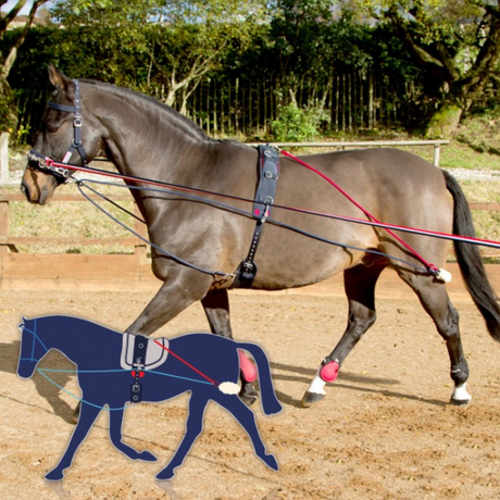 Système de formation John Whitaker