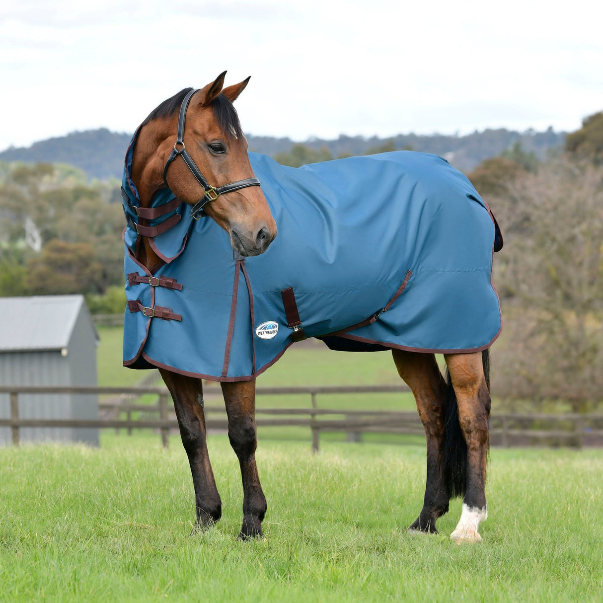 Weatherbeeta ComFiTec Classic Combo Neck Medium Turnout Rug #colour_dark-blue-coffee