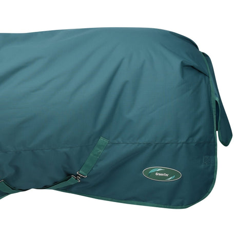 Weatherbeeta Green-Tec 1200D Detach-A-Neck Medium Turnout Rug #colour_dragonfly-blue-bottle-green