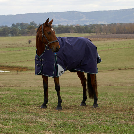 Weatherbeeta Comfitec Plus Dynamic 220G High Neck Turnout #colour_navy-forest-green