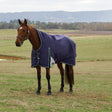 Weatherbeeta Comfitec Plus Dynamic 100G High Neck Turnout #colour_navy-forest-green