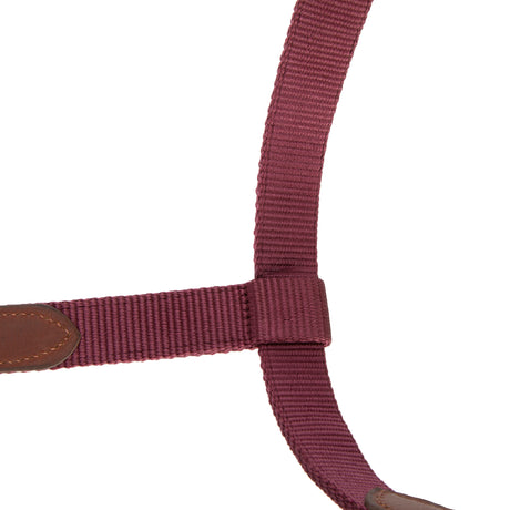 Shires ARMA Porto Headcollar #colour_black-cherry