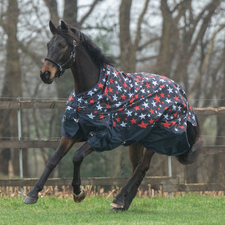 HKM 600D Fleece Lined Highneck Rug -Norwich- #colour_blue-with-stars-design