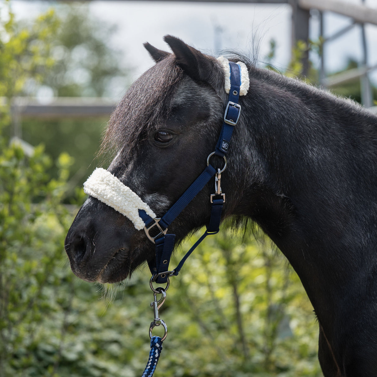HKM Head Collar -Mia- For Shetland Ponies #colour_deep-blue