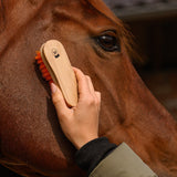 Waldhausen Head Brush Soft #colour_orange