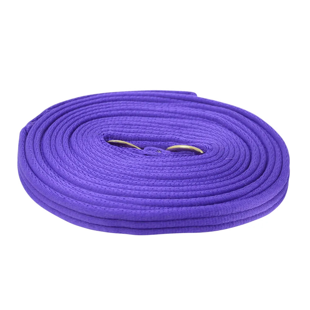 Hy Soft Webbing Lunge Rein