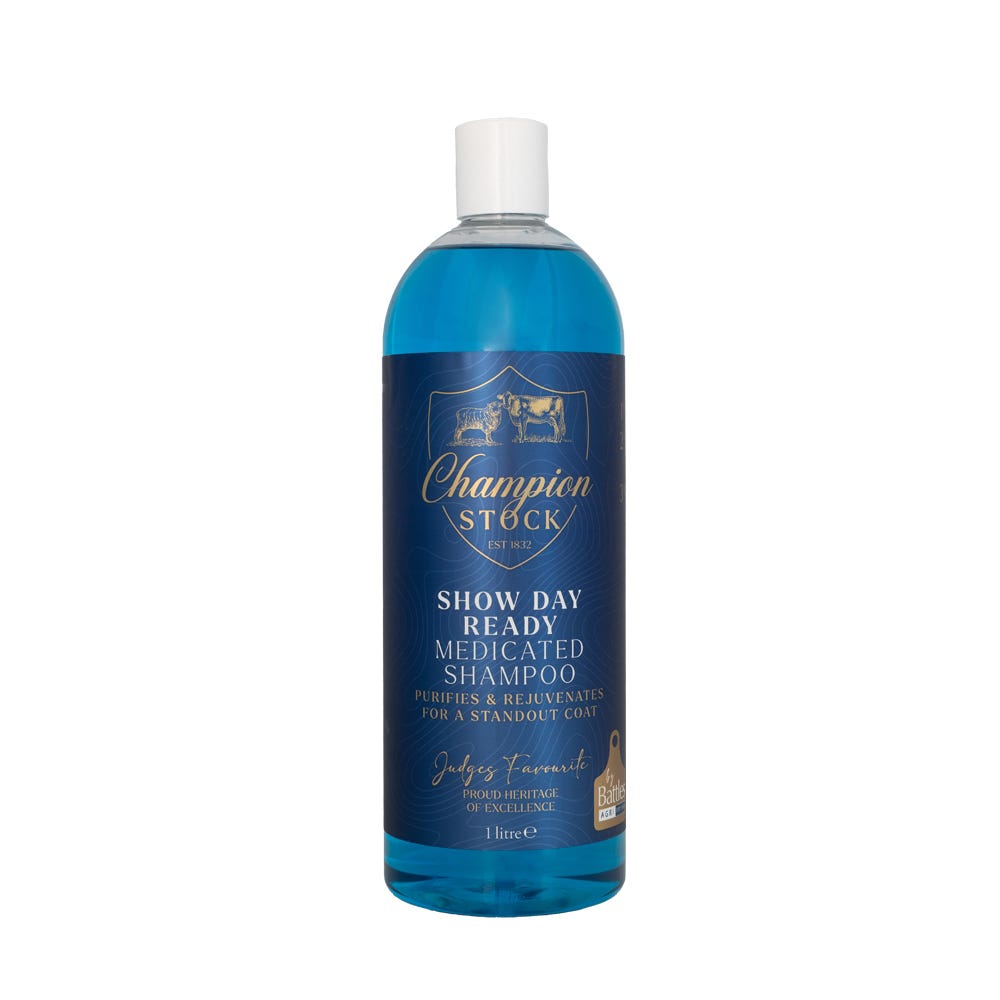 Champion Stock Show Day Ready Medicated Shampoo