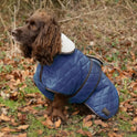Benji & Flo Teddy Quilted Dog Coat
