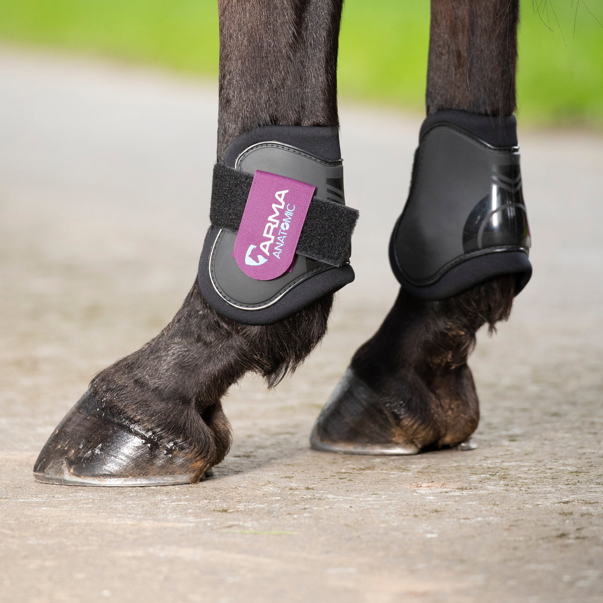 Shires ARMA Fetlock Boots #colour_black-raspberry