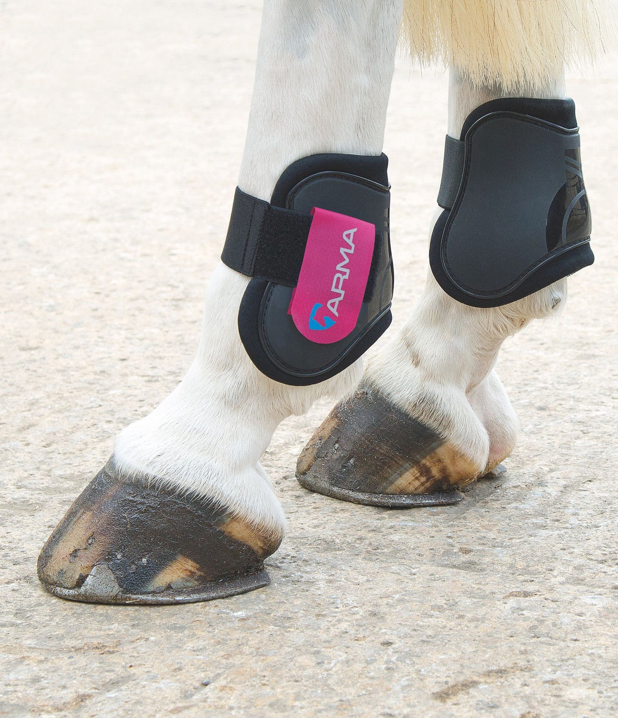 Shires ARMA Fetlock Boots #colour_black-raspberry