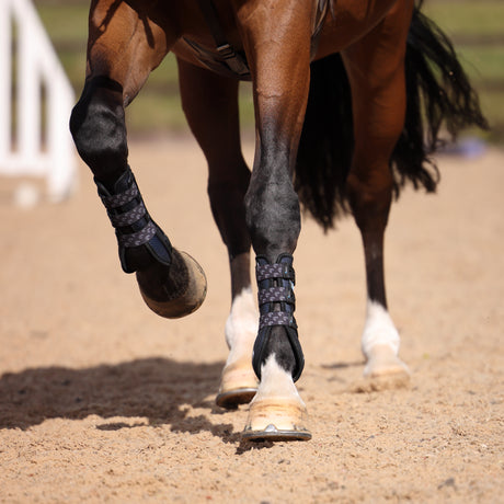 Shires ARMA Carbon Tendon Boots #colour_black