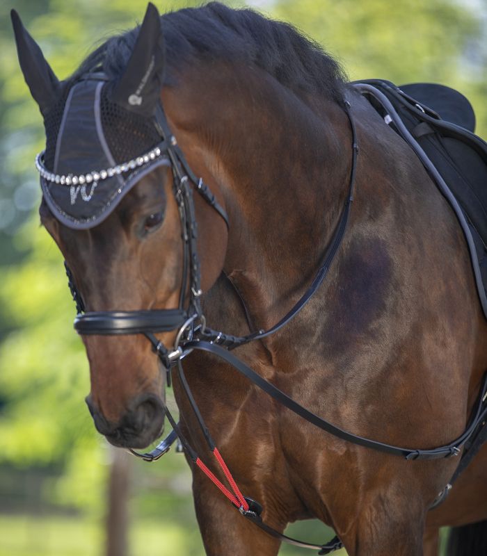 Waldhausen Draw Reins W-Trainrein